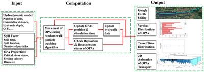 FluOil: A Novel Tool for Modeling the Transport of Oil-Particle Aggregates in Inland Waterways